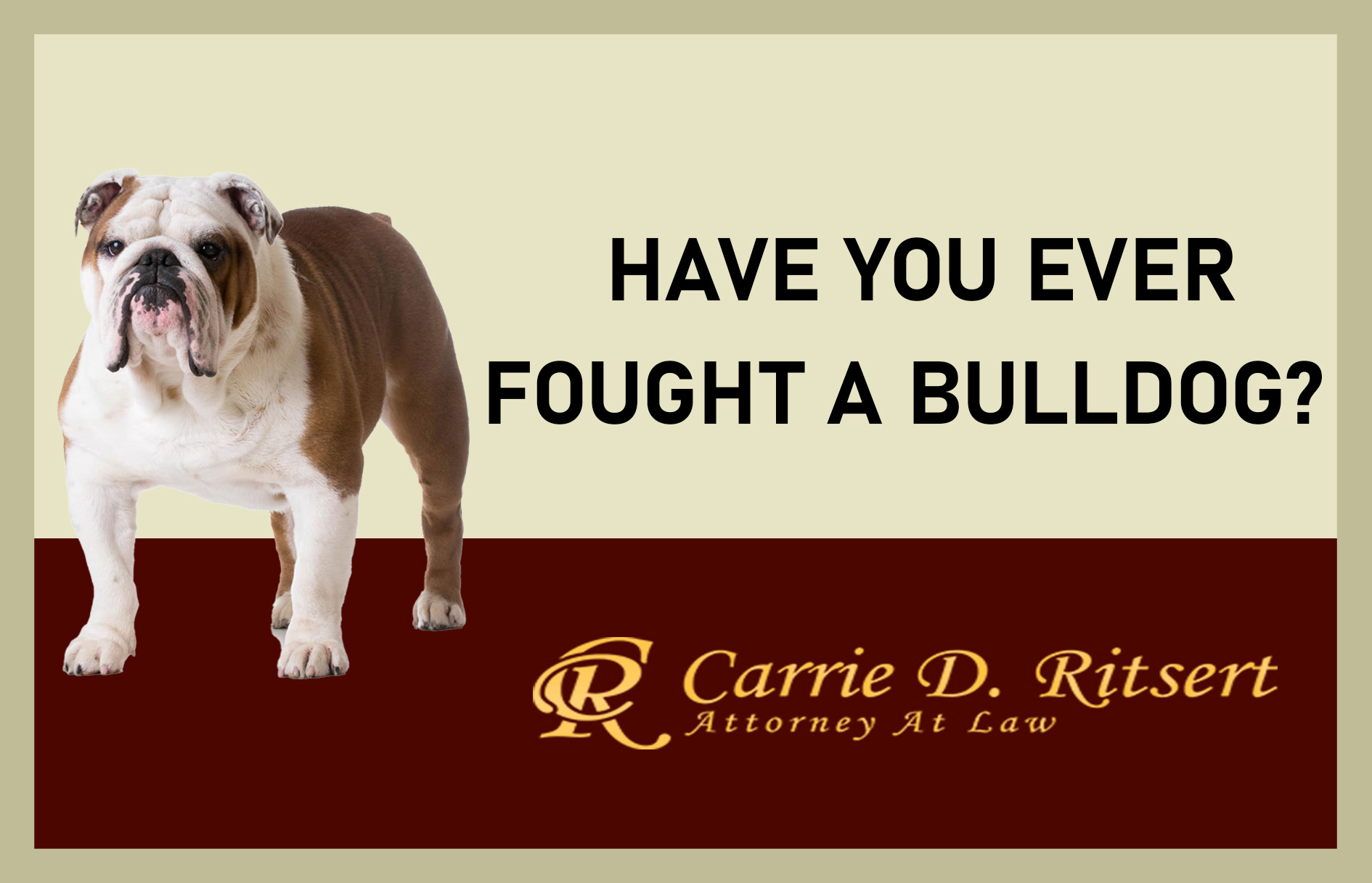 Have you ever fought a bulldog?